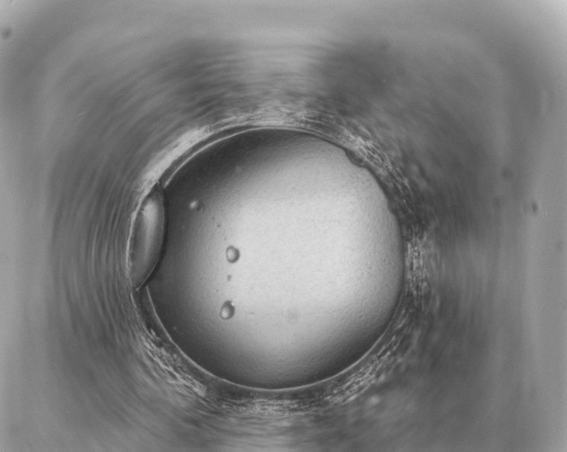 X0000086980292200704231826