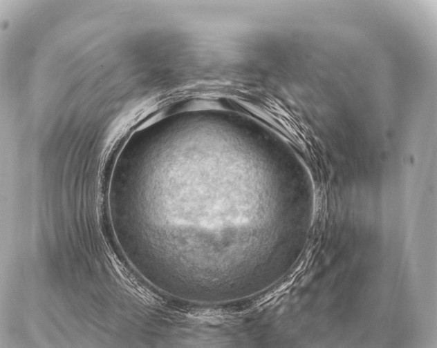 X0000086980293200704231826