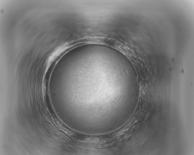 X0000086980294200704231826