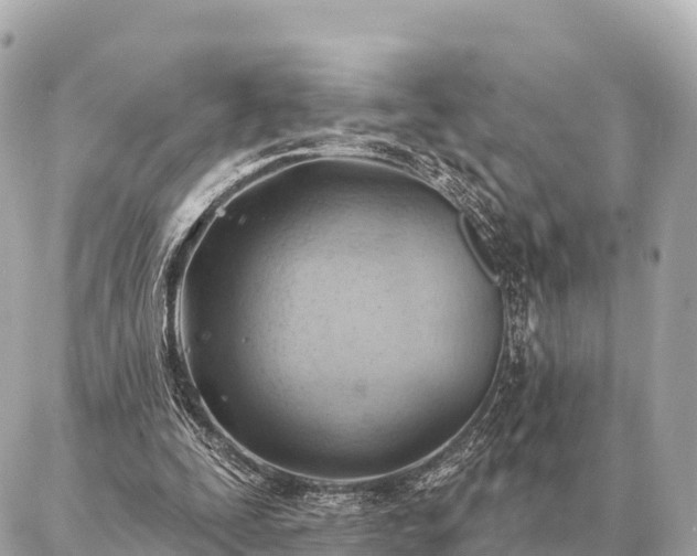 X0000086980295200704231826