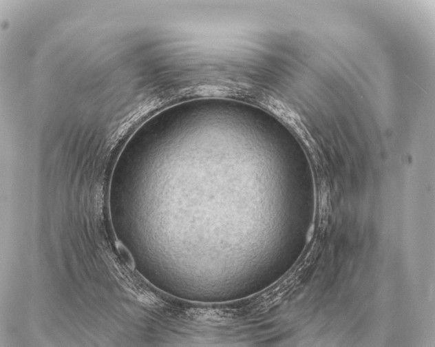 X0000086980297200704231826