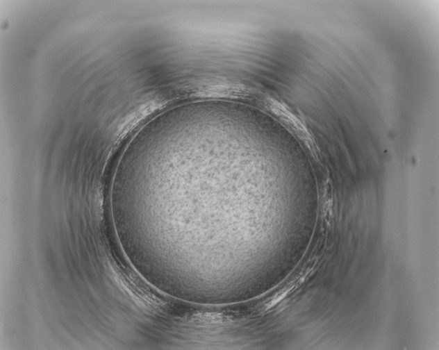 X0000086980298200704231826