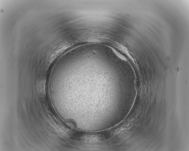 X0000086980299200704231826