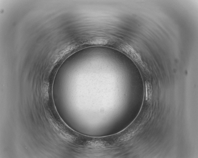 X0000086980300200704231826