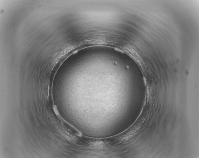 X0000086980301200704231826