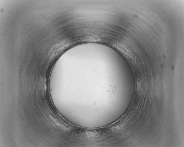 X0000086980302200704231826