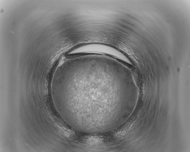 X0000086980303200704231826