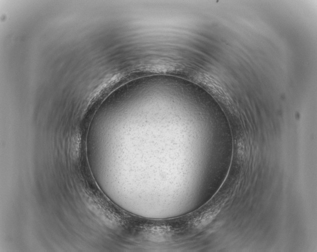 X0000086980304200704231826