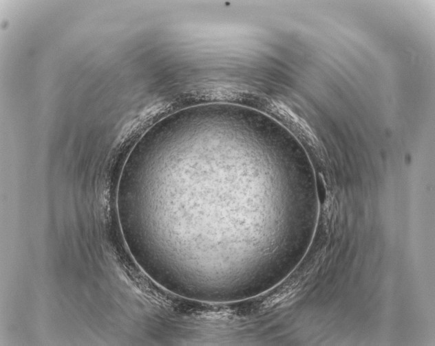 X0000086980306200704231826