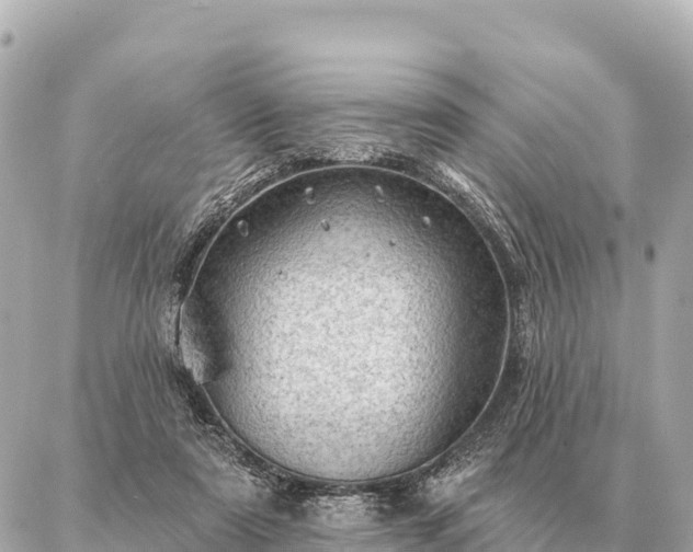 X0000086980307200704231826