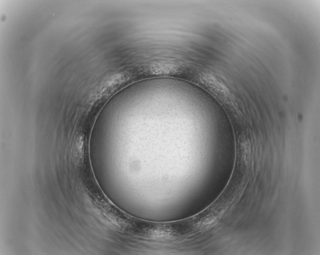 X0000086980308200704231826