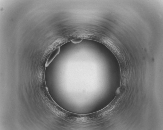 X0000086980309200704231826