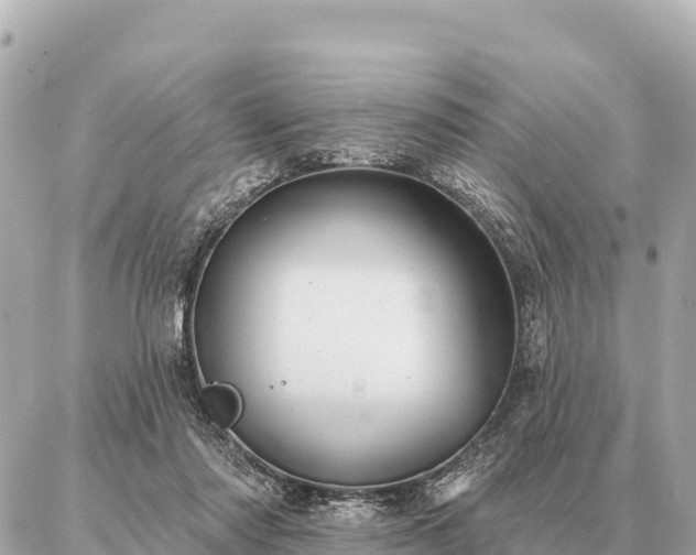 X0000086980310200704231826