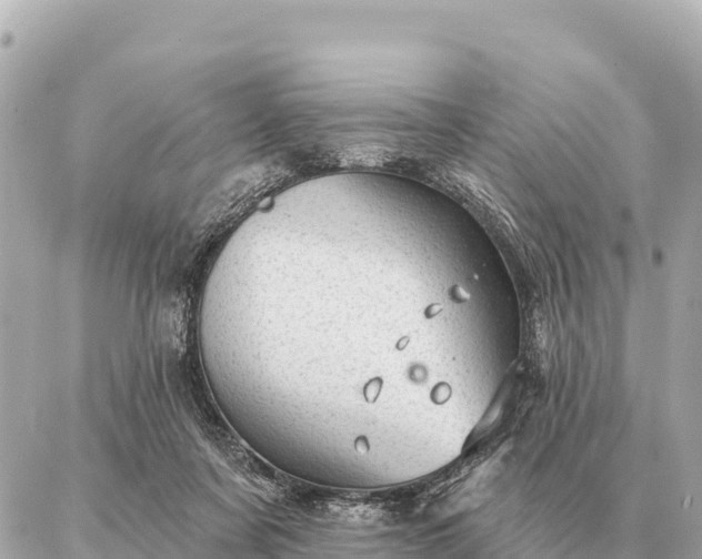 X0000086980311200704231826