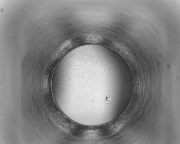 X0000086980312200704231826