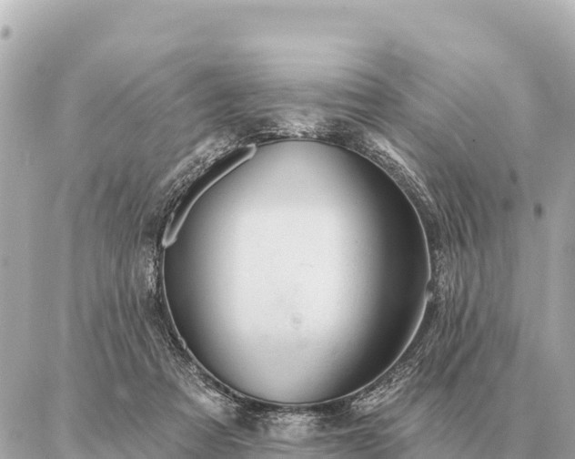 X0000086980313200704231826