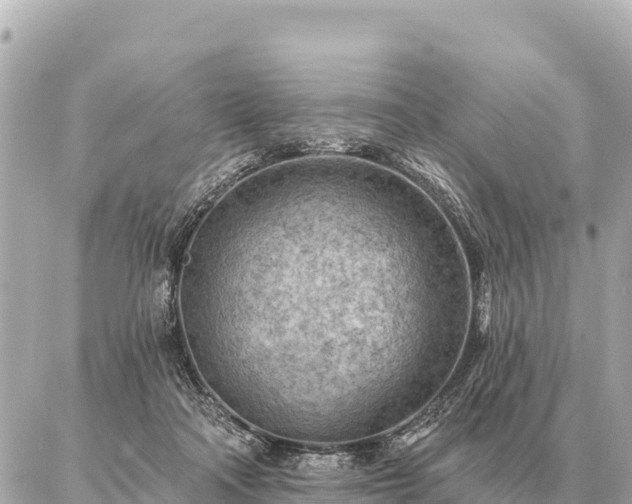 X0000086980314200704231826