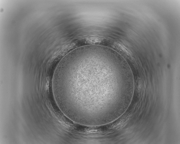 X0000086980315200704231826