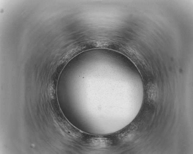 X0000086980316200704231826