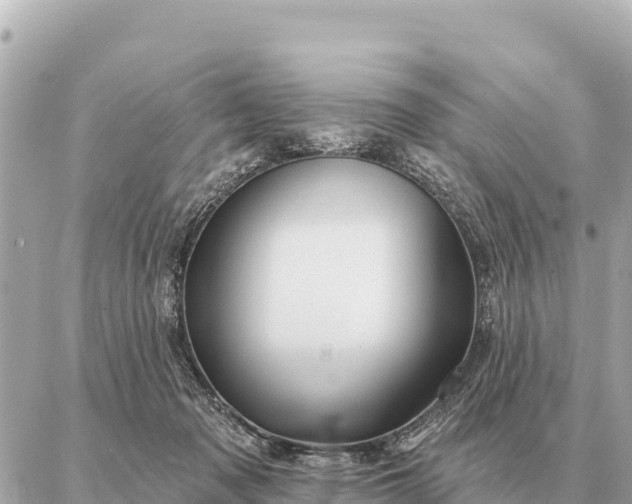 X0000086980317200704231826