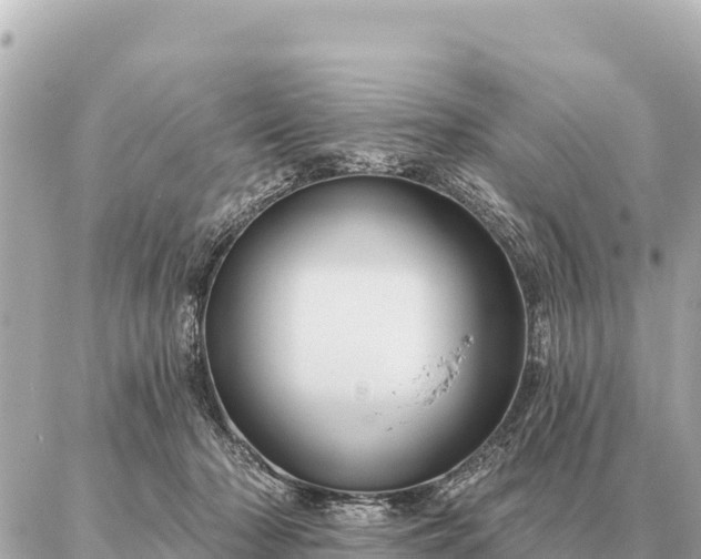 X0000086980318200704231826