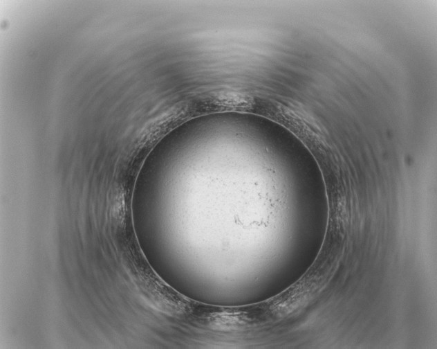 X0000086980320200704231826