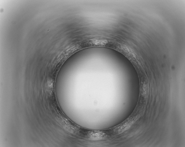 X0000086980321200704231826