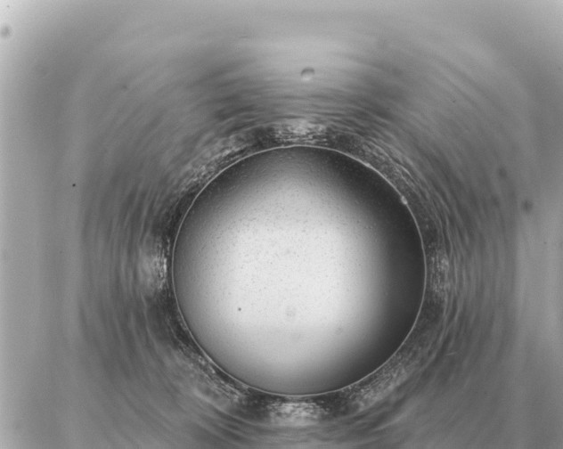 X0000086980324200704231826