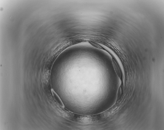 X0000086980325200704231826