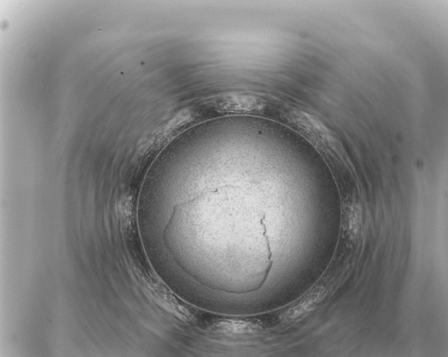 X0000086980326200704231826