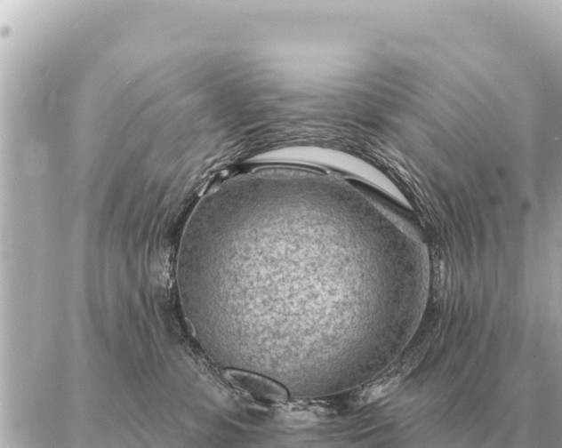 X0000086980331200704231826