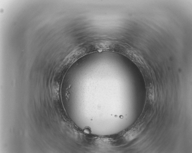 X0000086980332200704231825