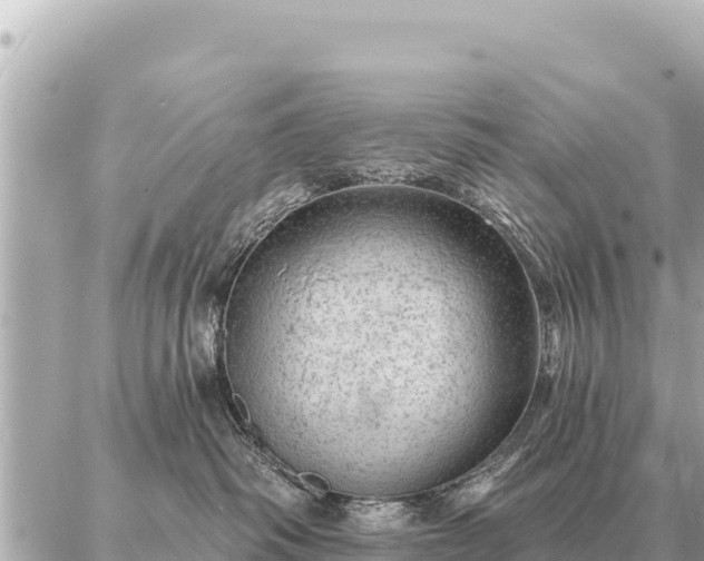 X0000086980334200704231825