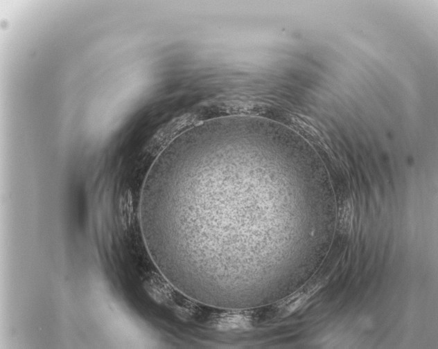 X0000086980335200704231825