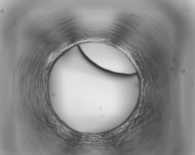 X0000086980337200704231825