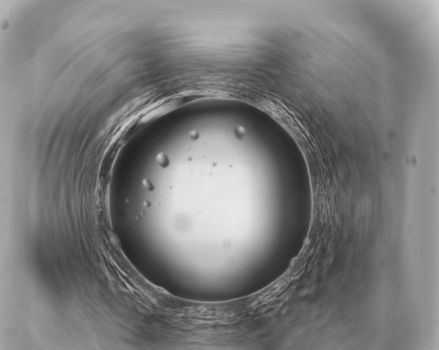 X0000086980338200704231825