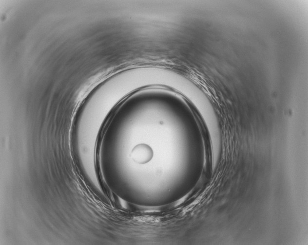 X0000086980340200704231825