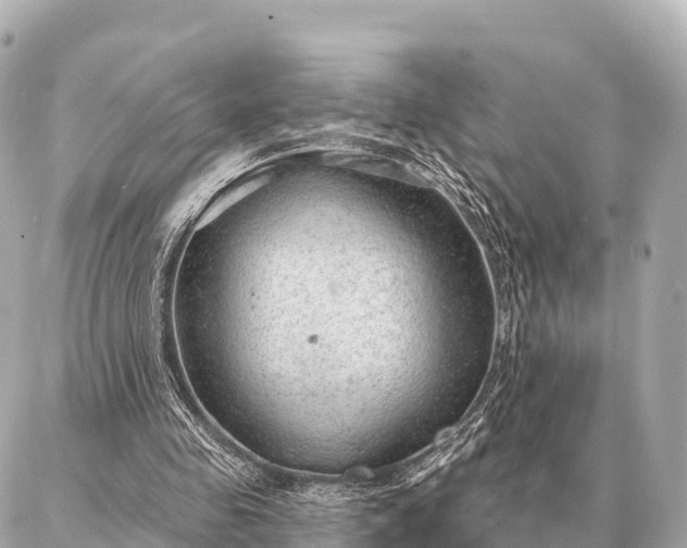 X0000086980341200704231825