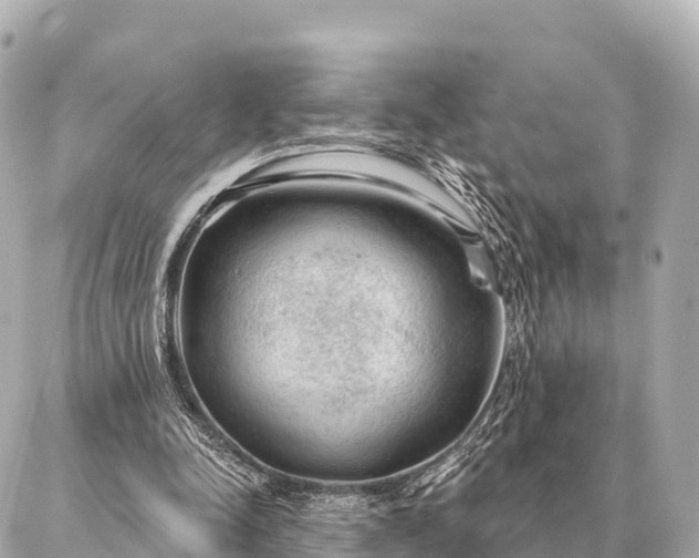 X0000086980342200704231825