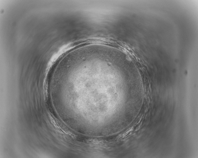 X0000086980343200704231825