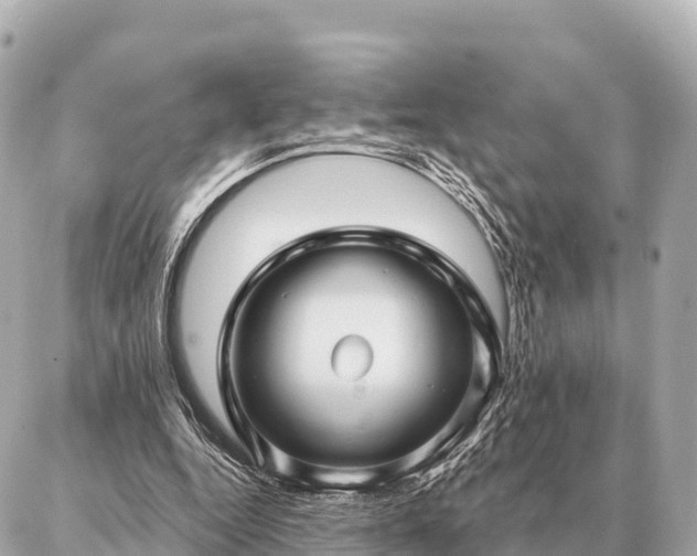 X0000086980344200704231825