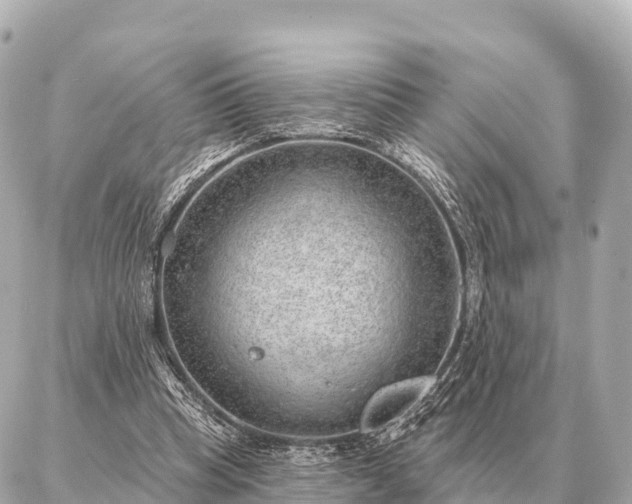 X0000086980345200704231825