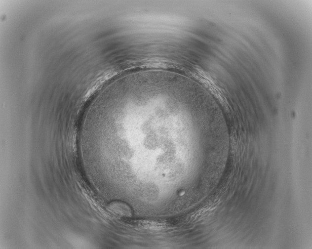 X0000086980347200704231825