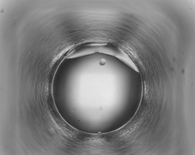 X0000086980348200704231825