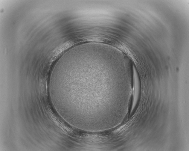 X0000086980349200704231825