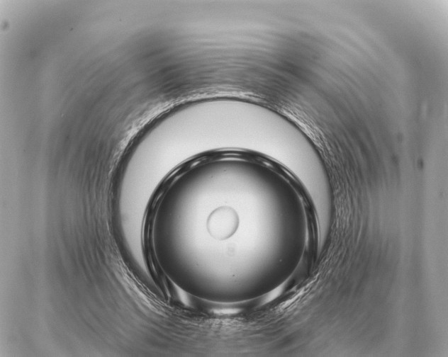 X0000086980350200704231825