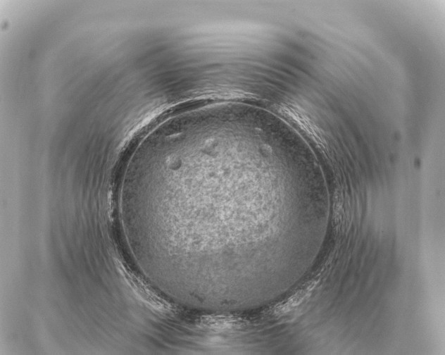 X0000086980351200704231825