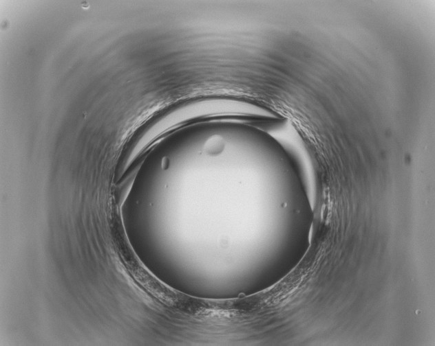 X0000086980352200704231825