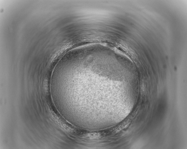 X0000086980353200704231825