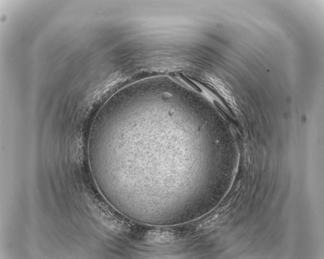 X0000086980354200704231825